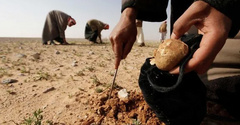16 человек погибли в результате подрыва на минах в Сирии