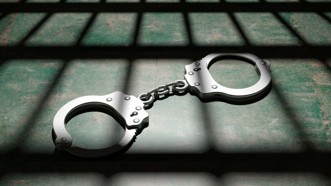 Khabarovsk Krai resident sentenced to 9 years for terrorism financing 