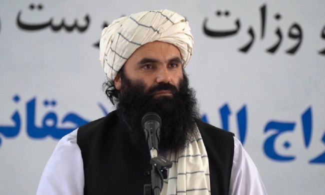 Taliban: We fought for freedom, and now we have a jihad for Sharia