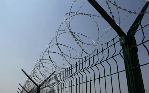 俄罗斯萨拉托夫地区一名囚犯因招募“伊斯兰国”被判13年徒刑